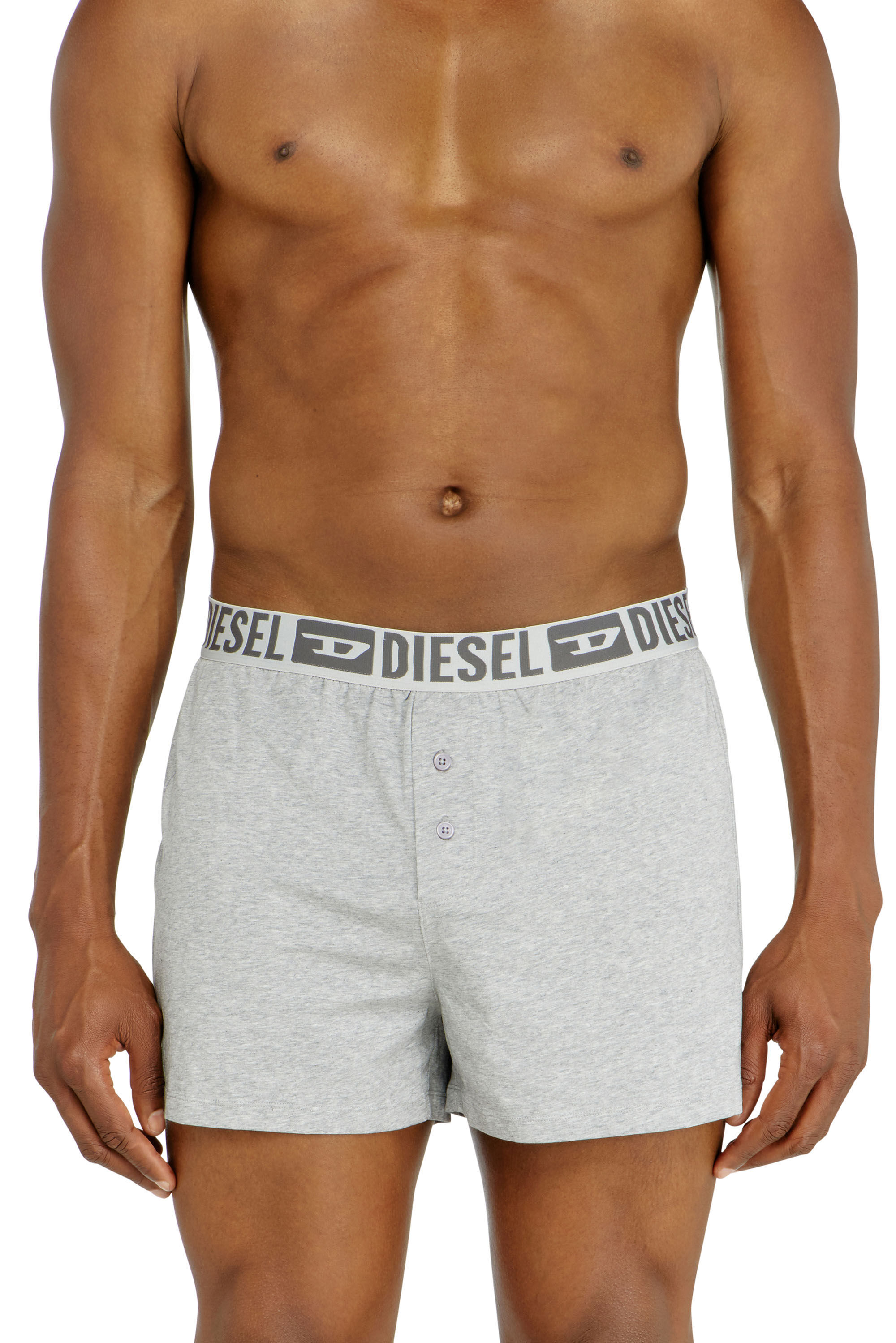 Diesel - STARKIE-D-CORE-2PACK, Man's Two-pack boxer shorts in stretch cotton in Grey - 3