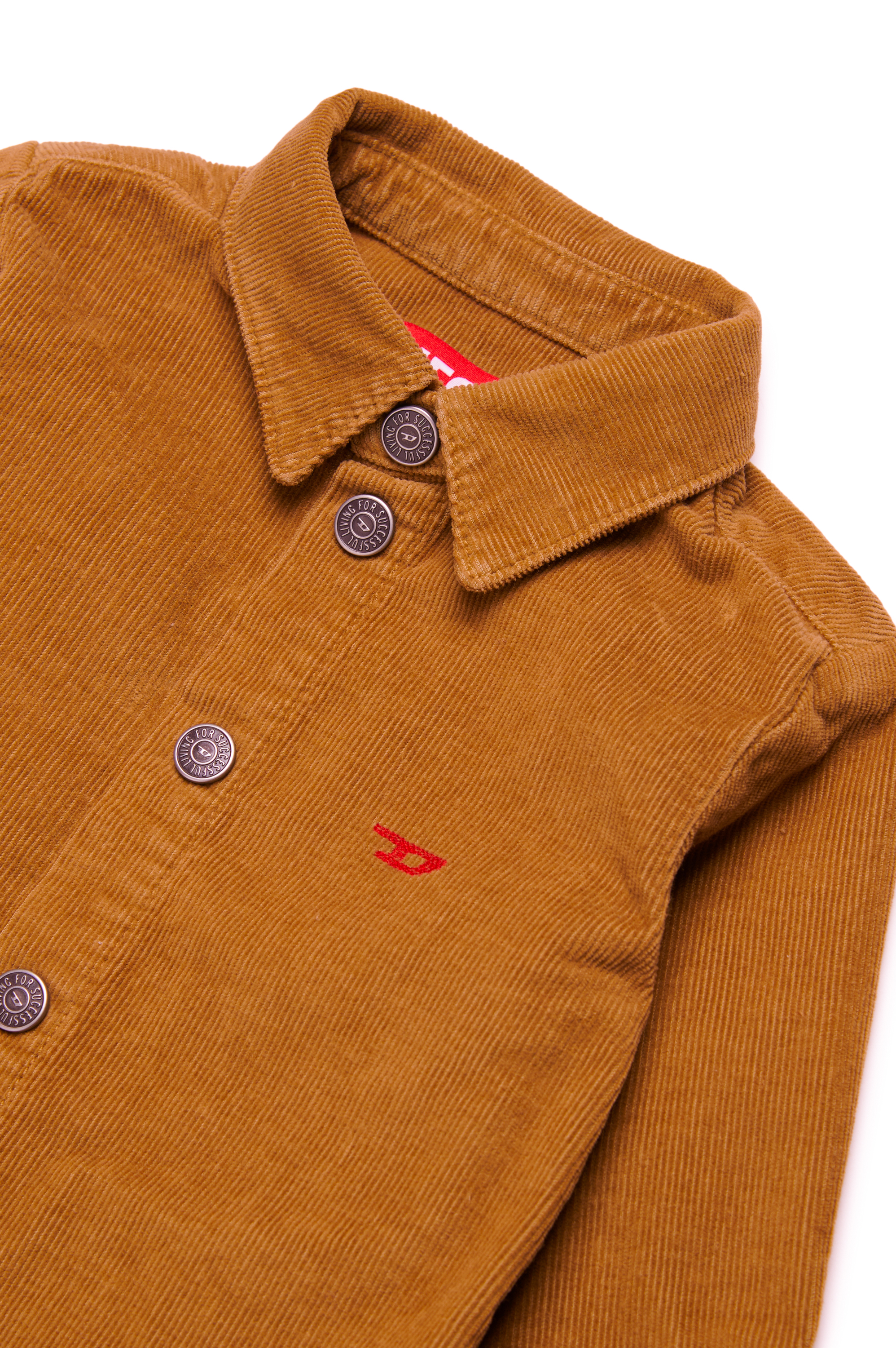 Diesel - CHIPYB, Man Corduroy shirt with small D logo in Brown - Image 3
